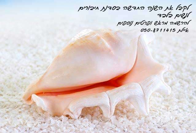 לקבל את השנה החדשה בסדנת חיבורים