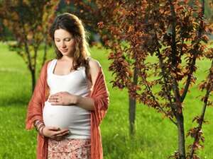 תזונה בהריון - אורן רחמני - דיקור סיני - דרך גוף