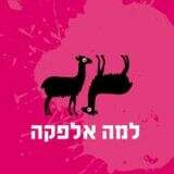 למה אלפקה - מופע אימפרוביזציה