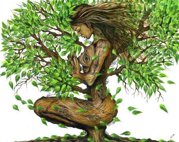 אשה עץ. רגלים בקרקע ראש בעננים