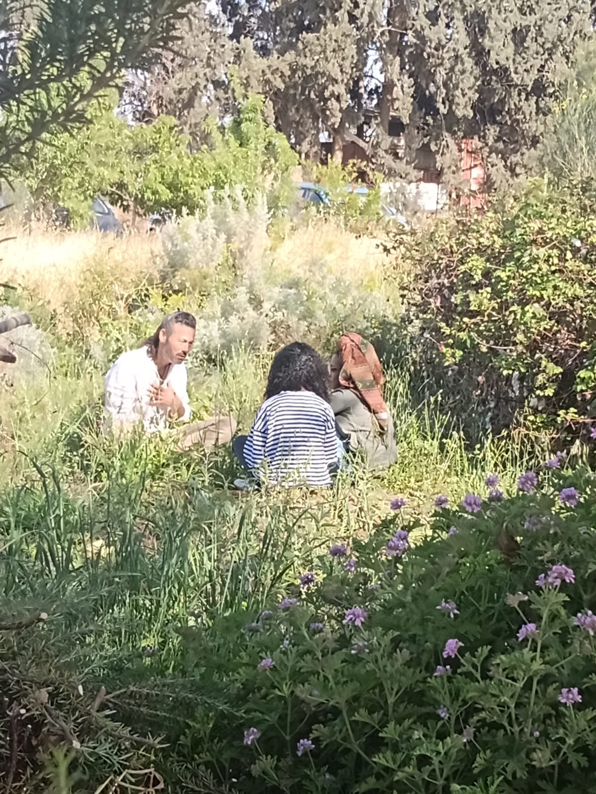 קורס פרמקלצ`ר וגינון טיפולי משולב