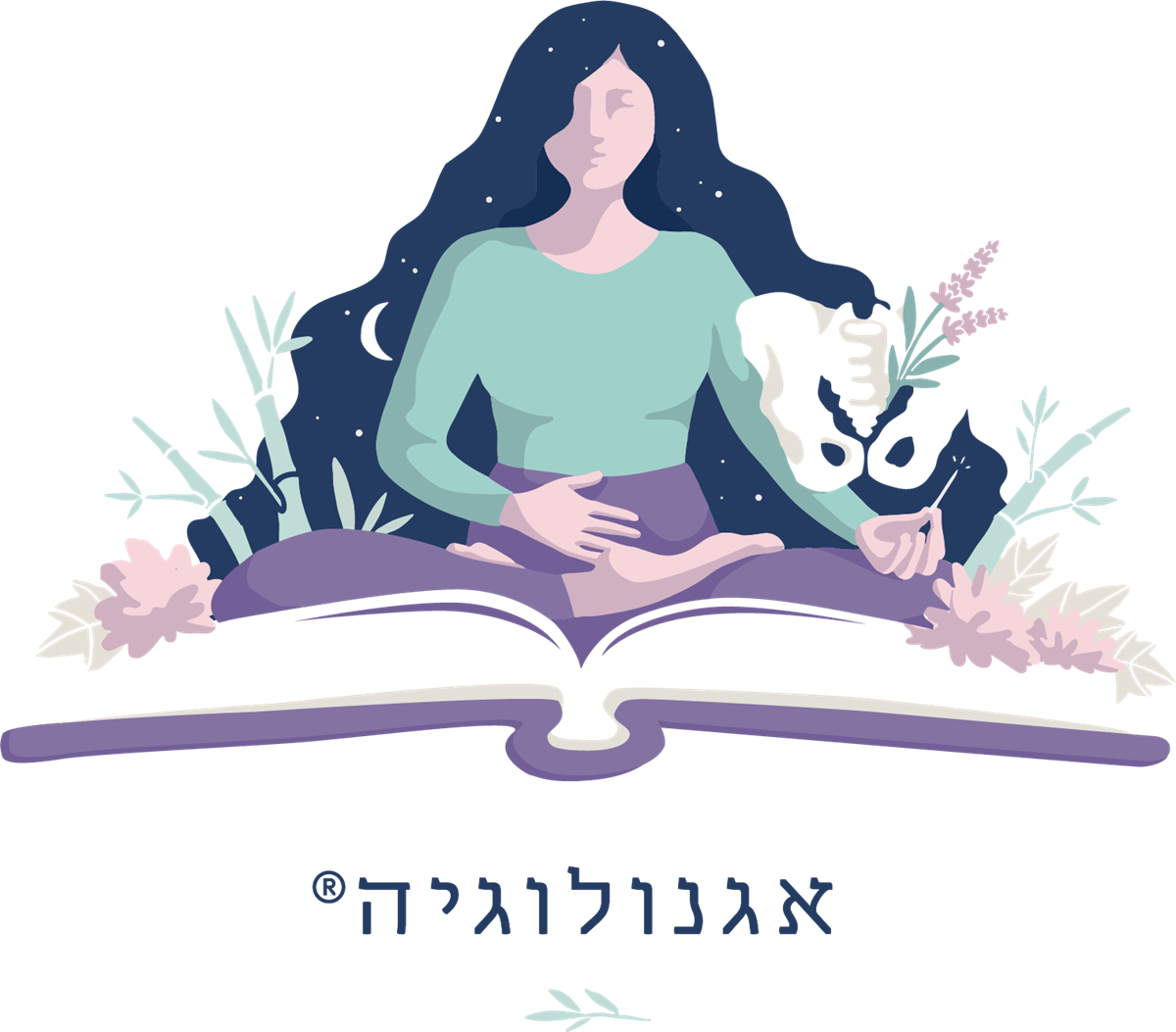 אגנולוגיה  - מסע לחקר האגן