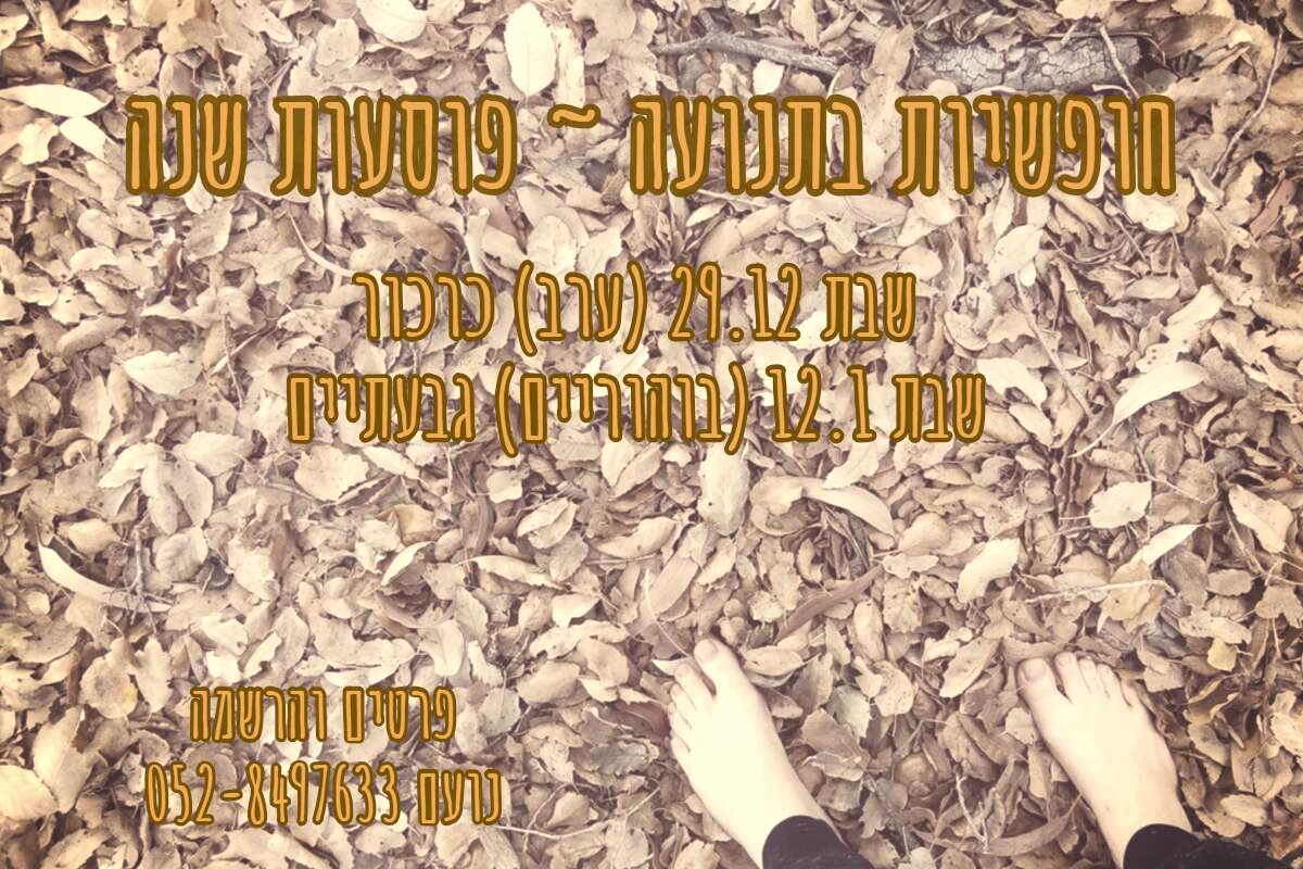 סדנת ריקוד אימפרוביזציה עם נועם מוסקל בתל אביב יפו - נועם מוסקל - דרך גוף