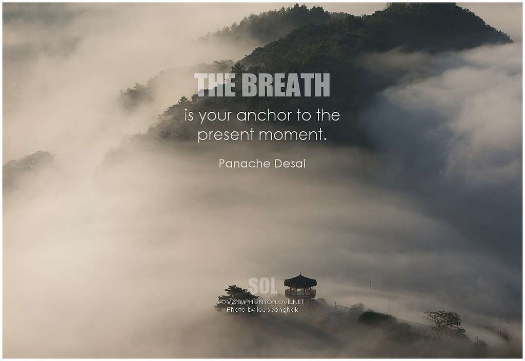 צ`י הנשימה הגדולה מאת דוד מיכאלי - מדף בית הוצאה לאור - דרך גוף