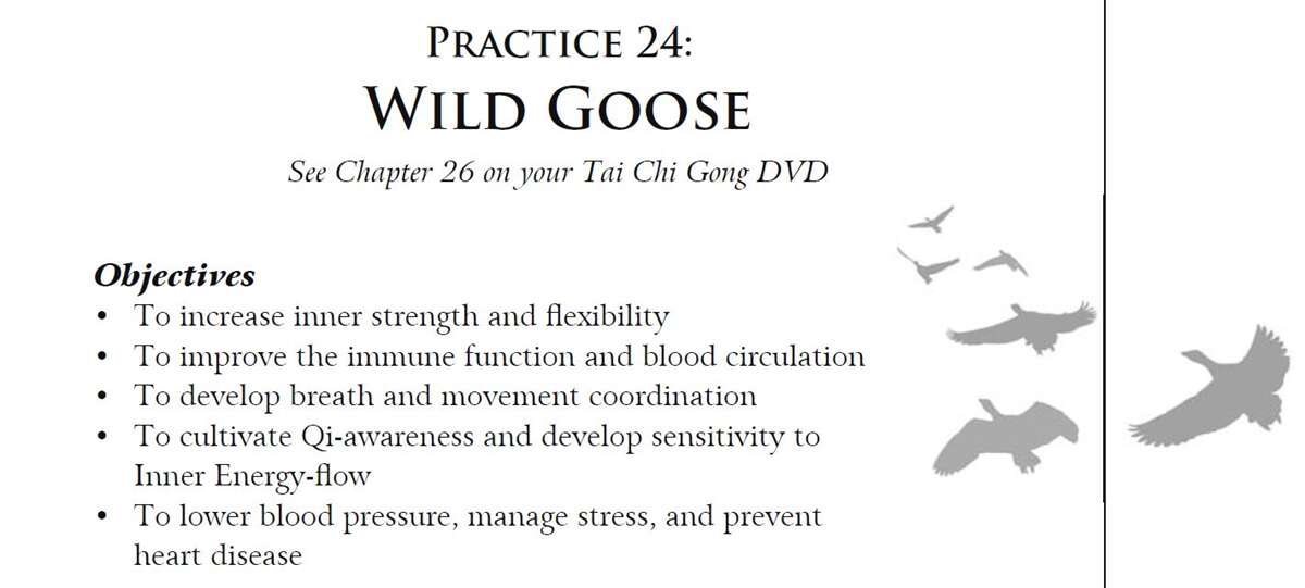 Wild Goose QiGong