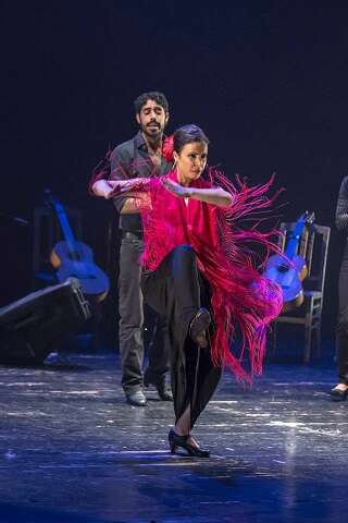 Flamenco Classes with Ronit Raymond