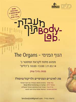 מעבדת גוף BMC Body Lab- הגוף הפנימי