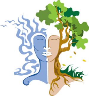 שעורי אור היוגה